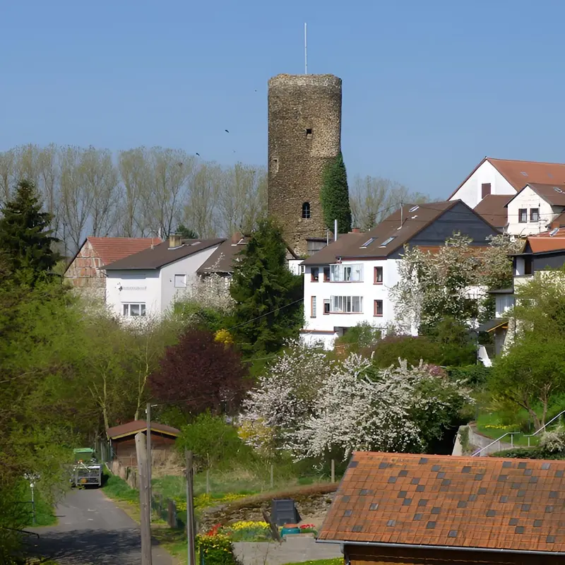 Image 4