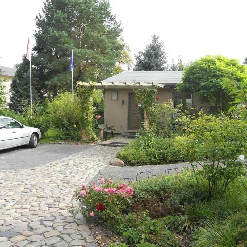 Image 6