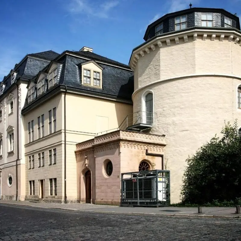 Image 7