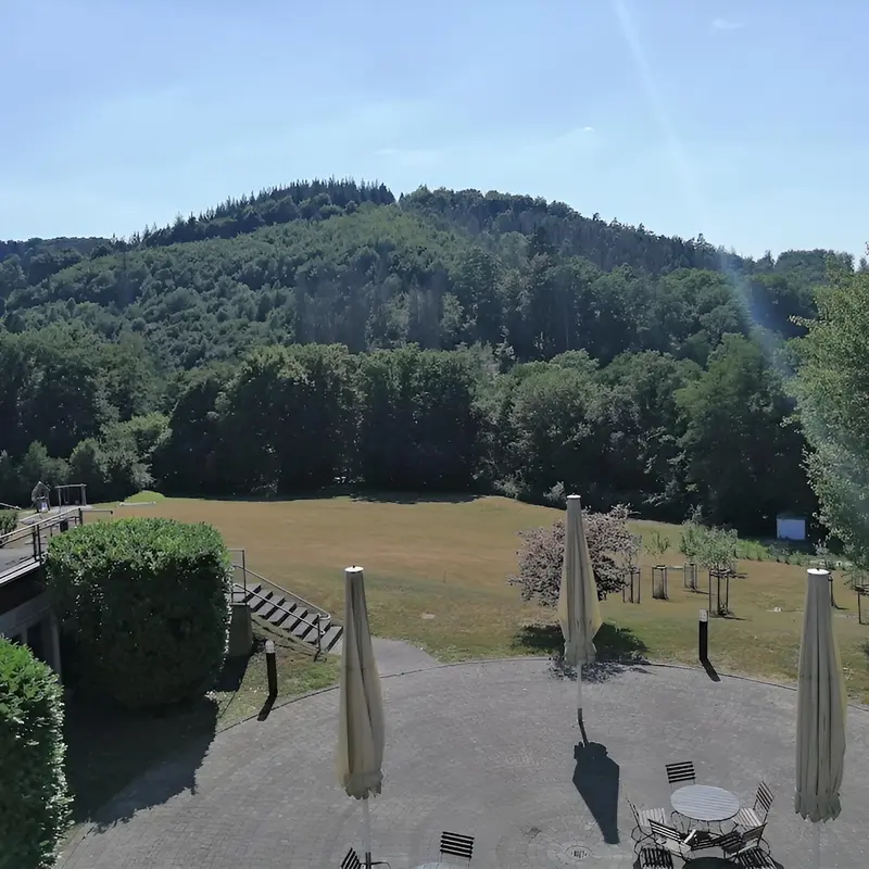 Image 10