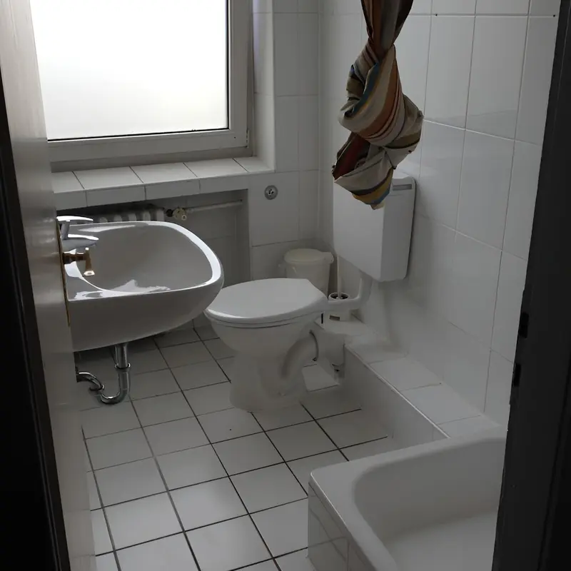 Image 8