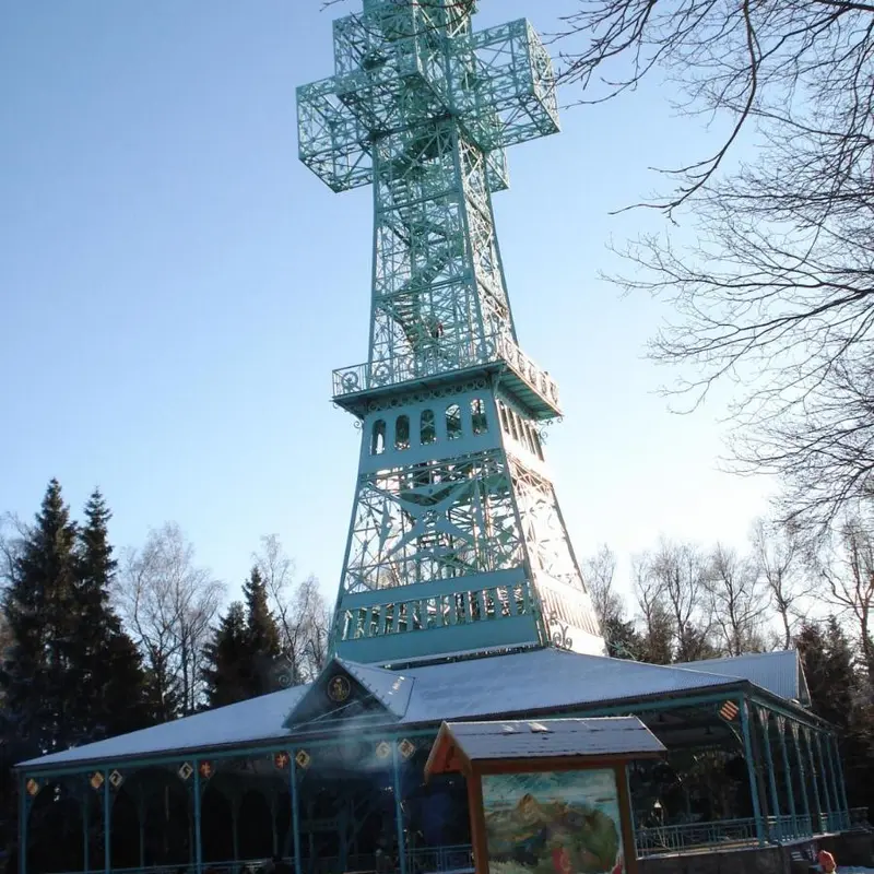 Image 7