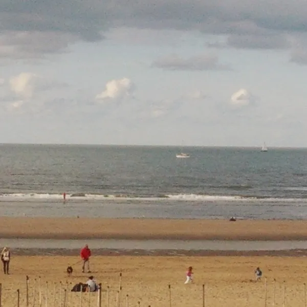 Image 8