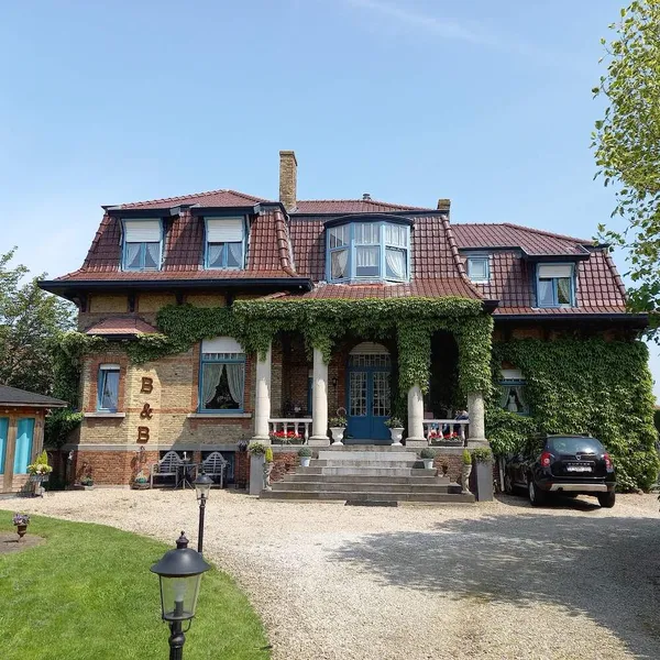 Image 4