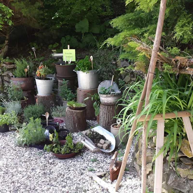 Image 8