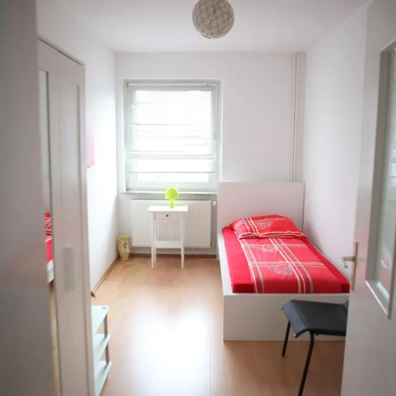 Image 7
