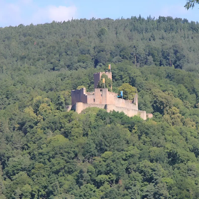 Image 2