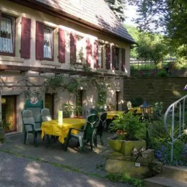 Image 8