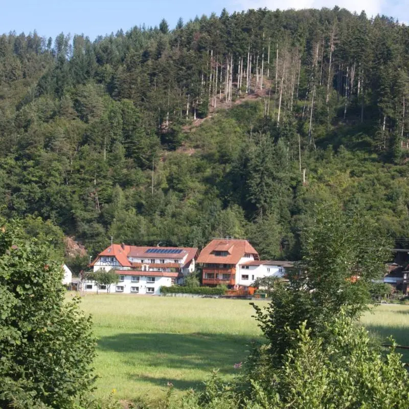 Foto 1