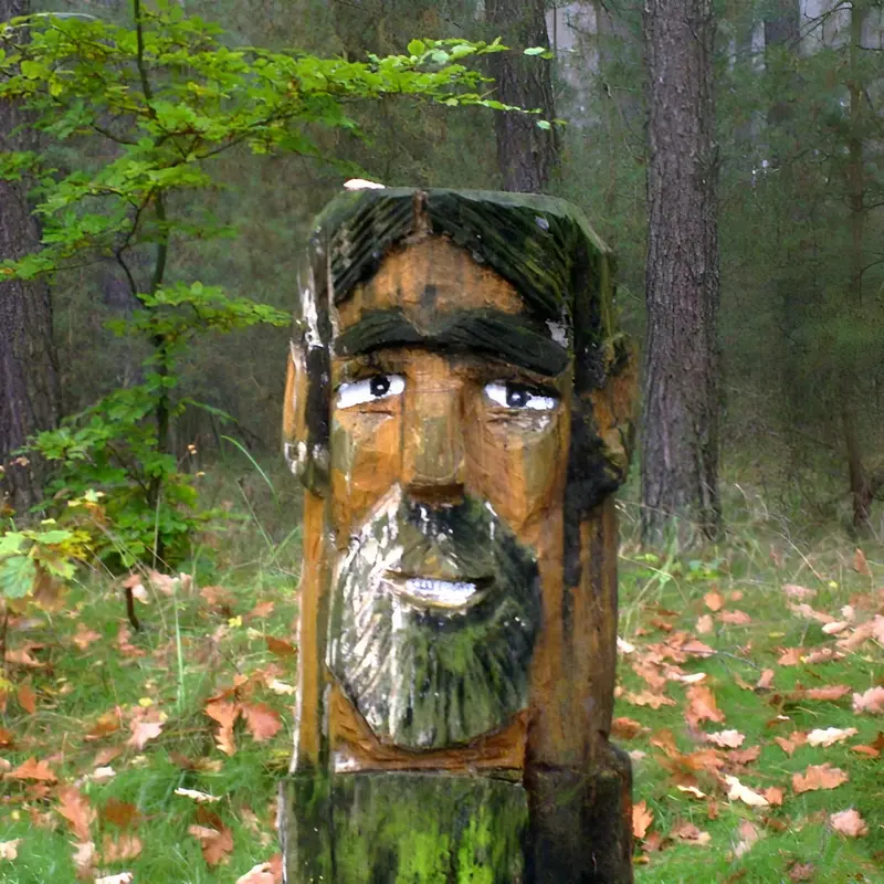 Image 6