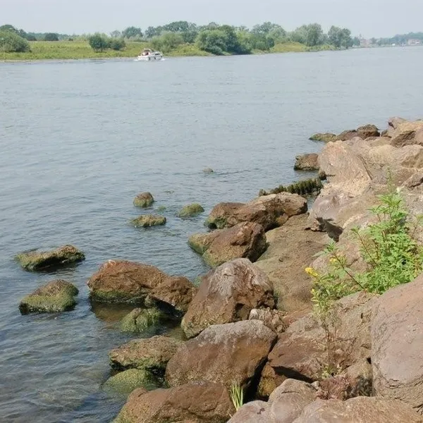 Image 6