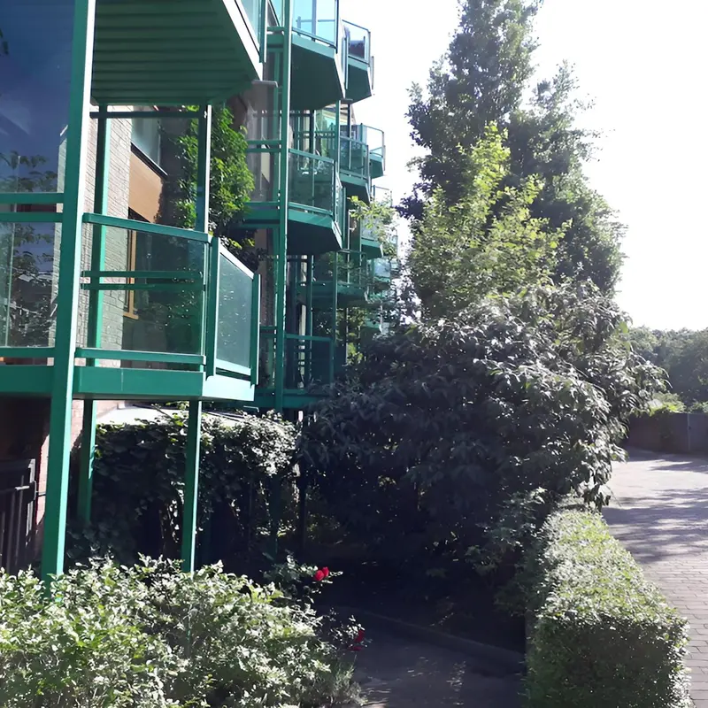 Image 5