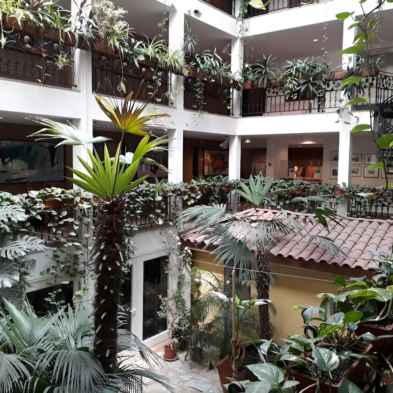 Image 7