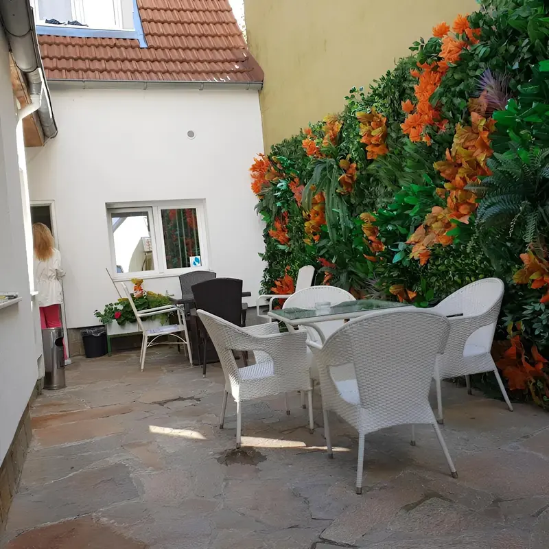 Image 7