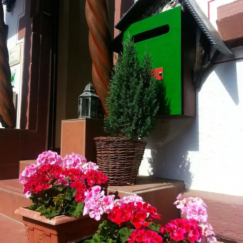 Foto 3