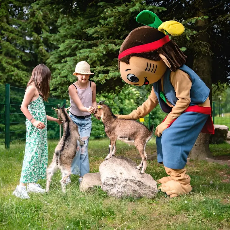 AHORN Waldhotel Altenberg in Altenberg