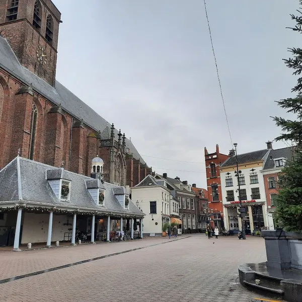 Image 4