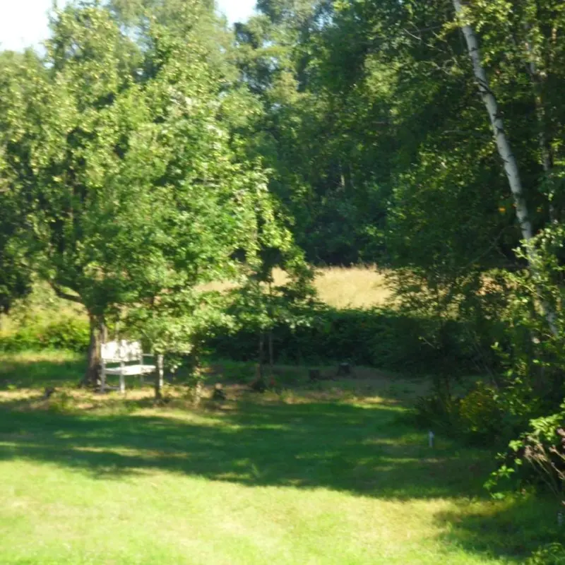 Image 9