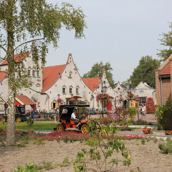 Foto 6