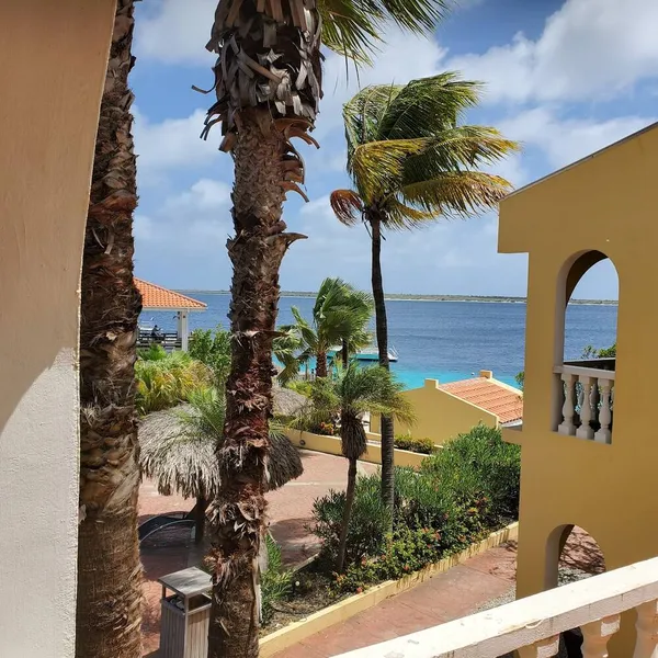 Image 6