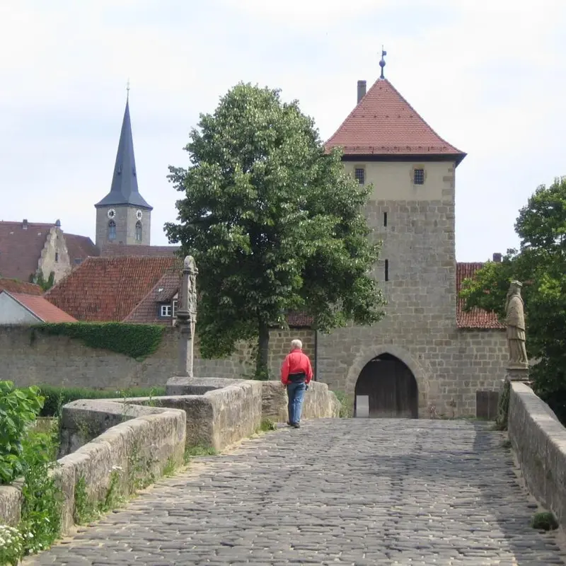 Image 7