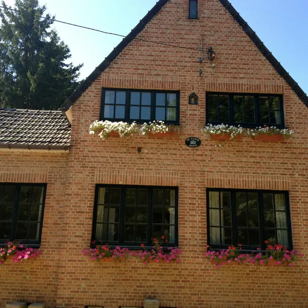 Image 8