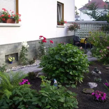 Foto 4