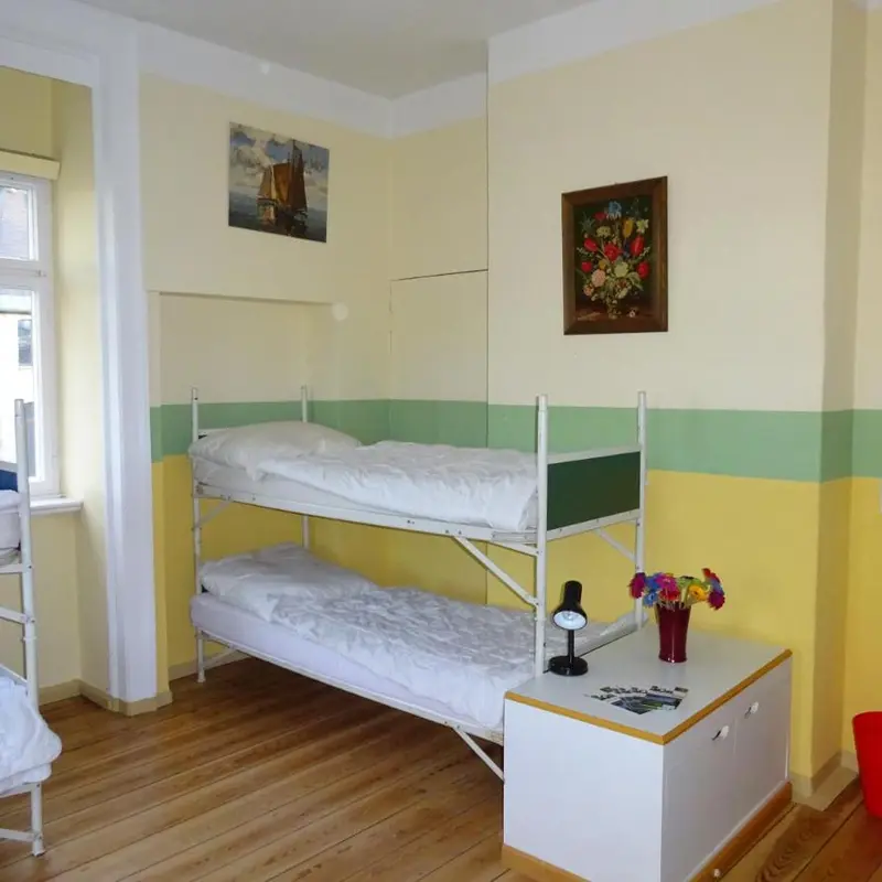 Image 5