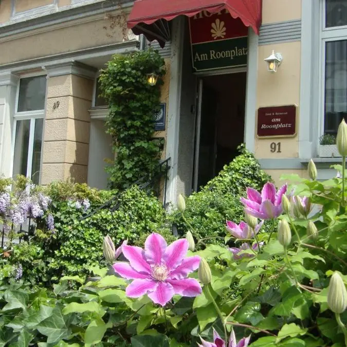 Image 5