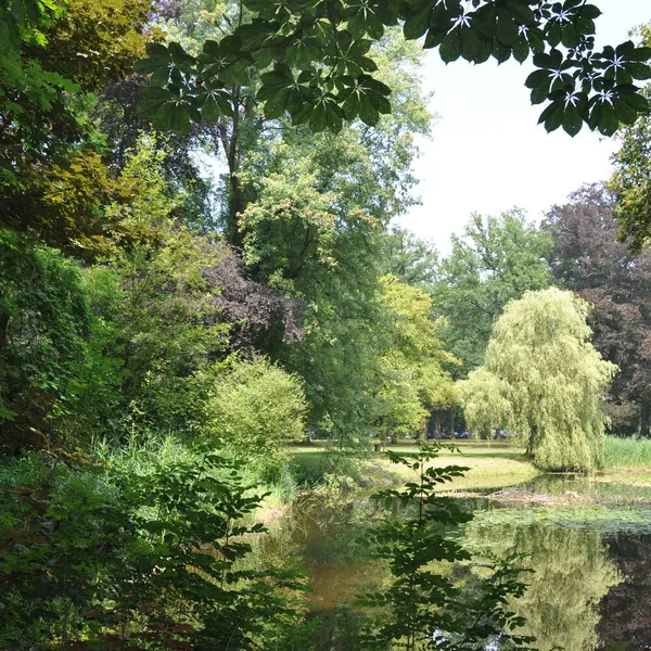 Foto 20