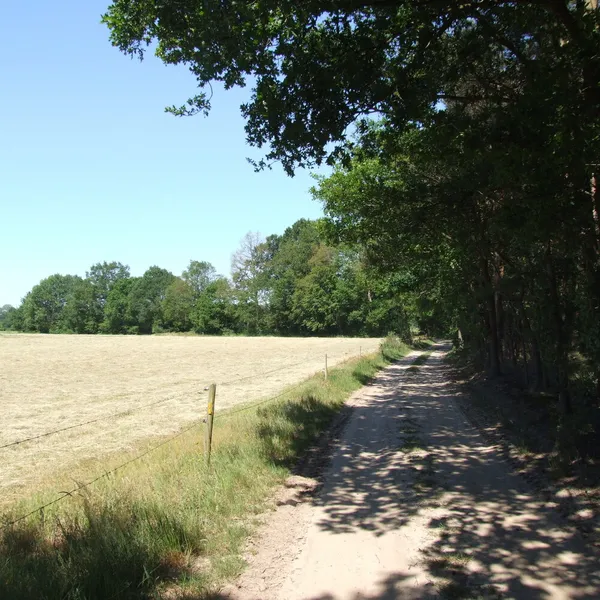 Image 21