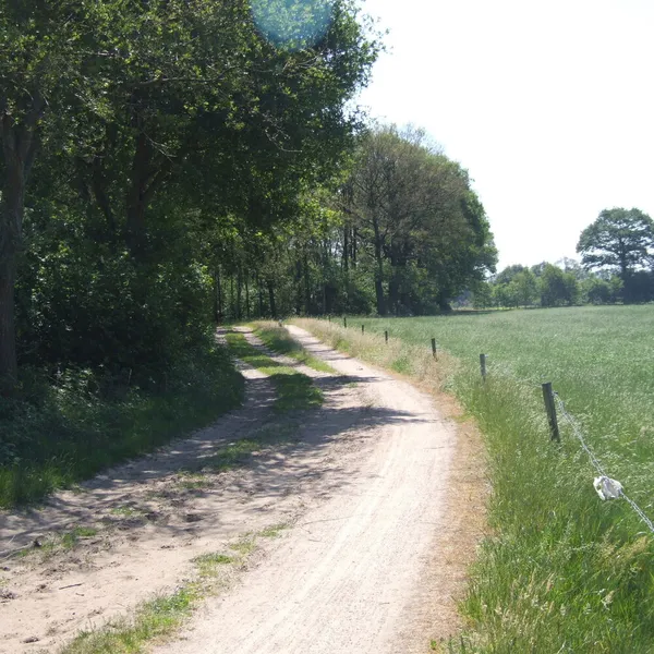 Image 22