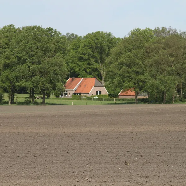 Image 24