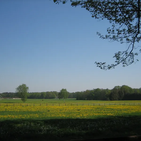 Image 25