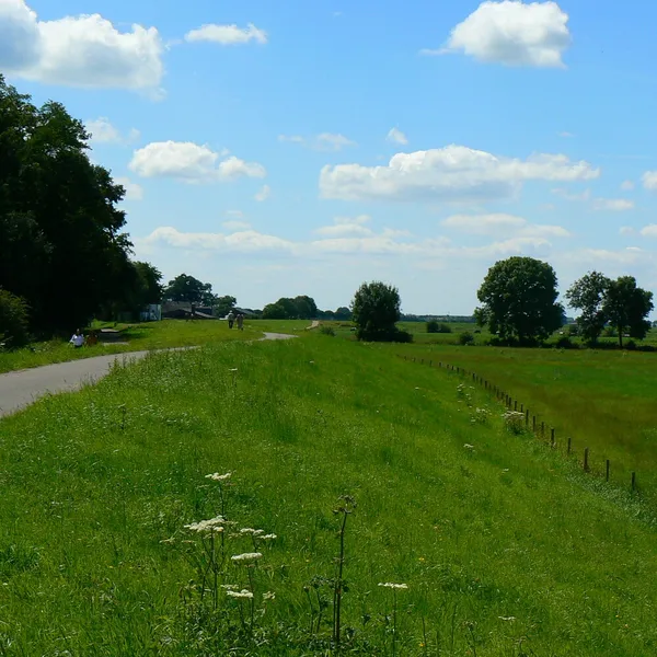 Image 29