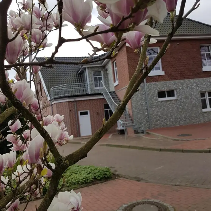 Image 10