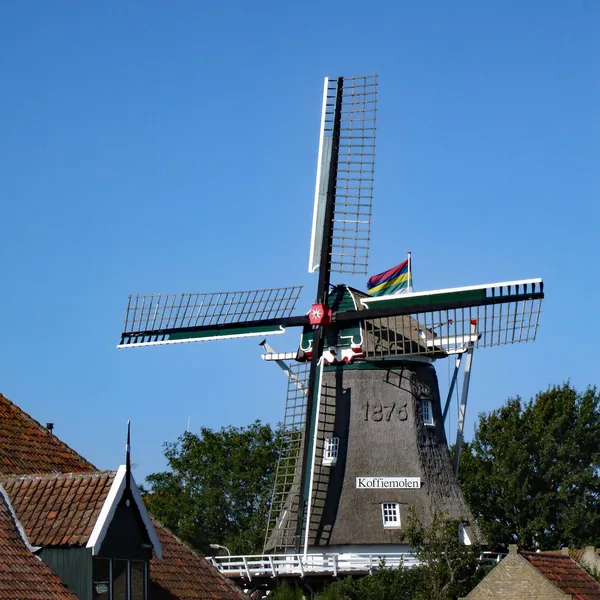 Foto 7