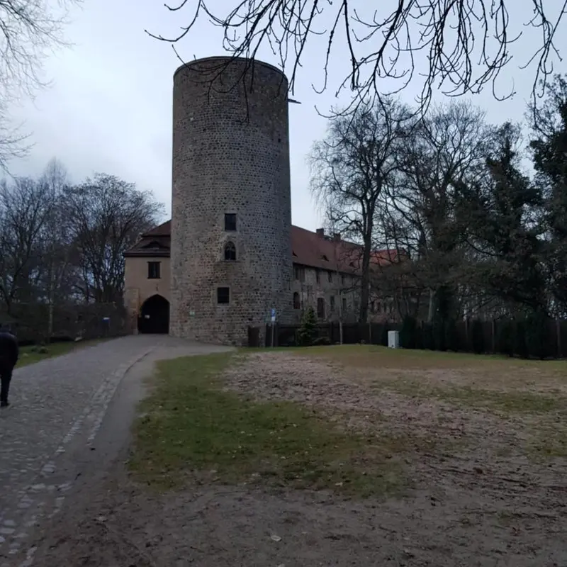 Image 5