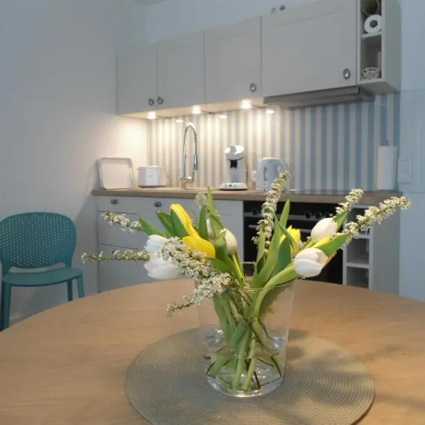 SEASIDE APARTMENTS - BEACHHOUSE WAVE in Eckernförde