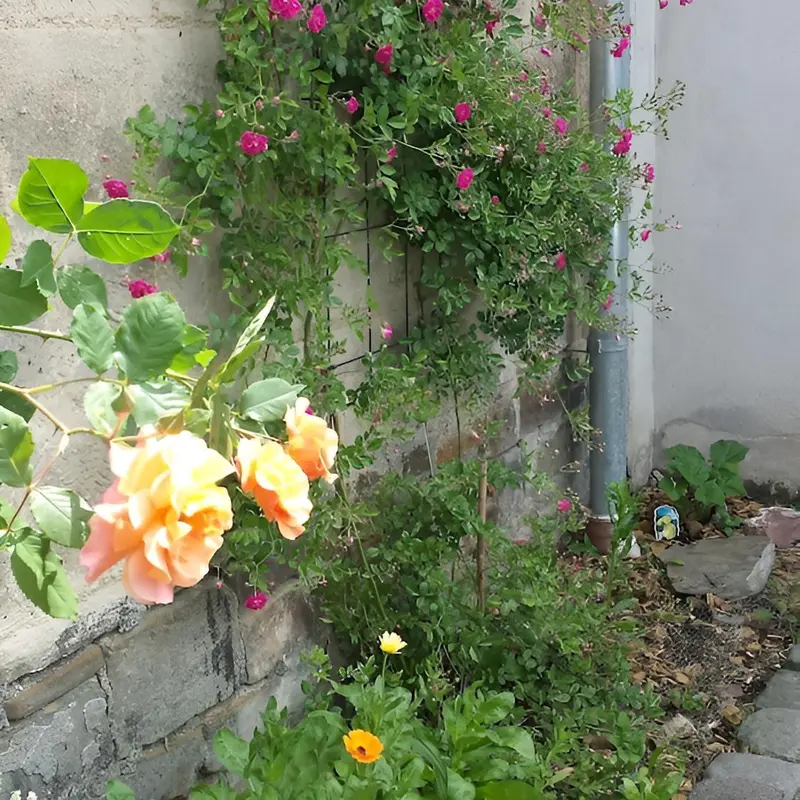 Foto 3