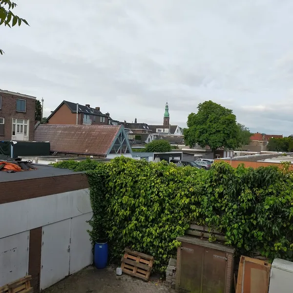 Image 10