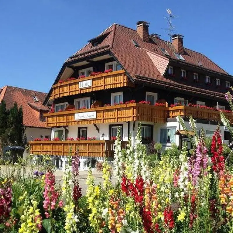 Foto 1