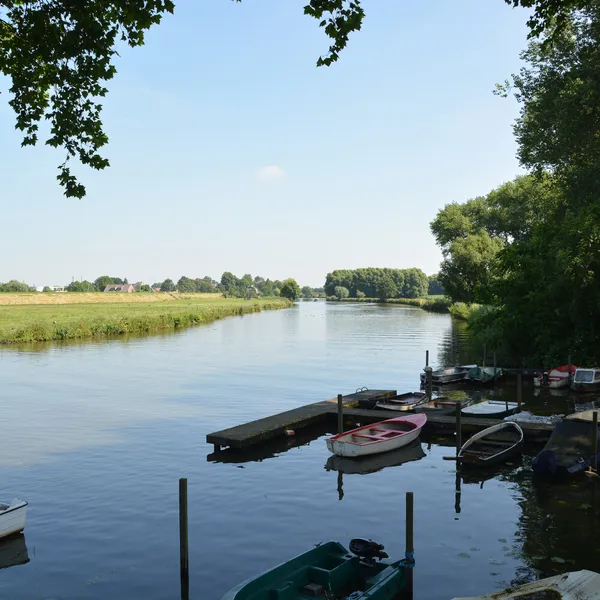 Image 27