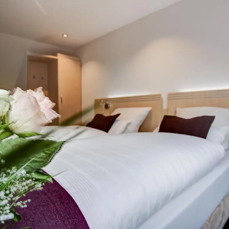 Rhein Neckar Hotel in Mannheim