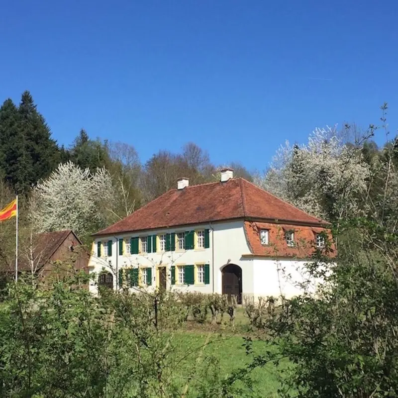 Foto 1