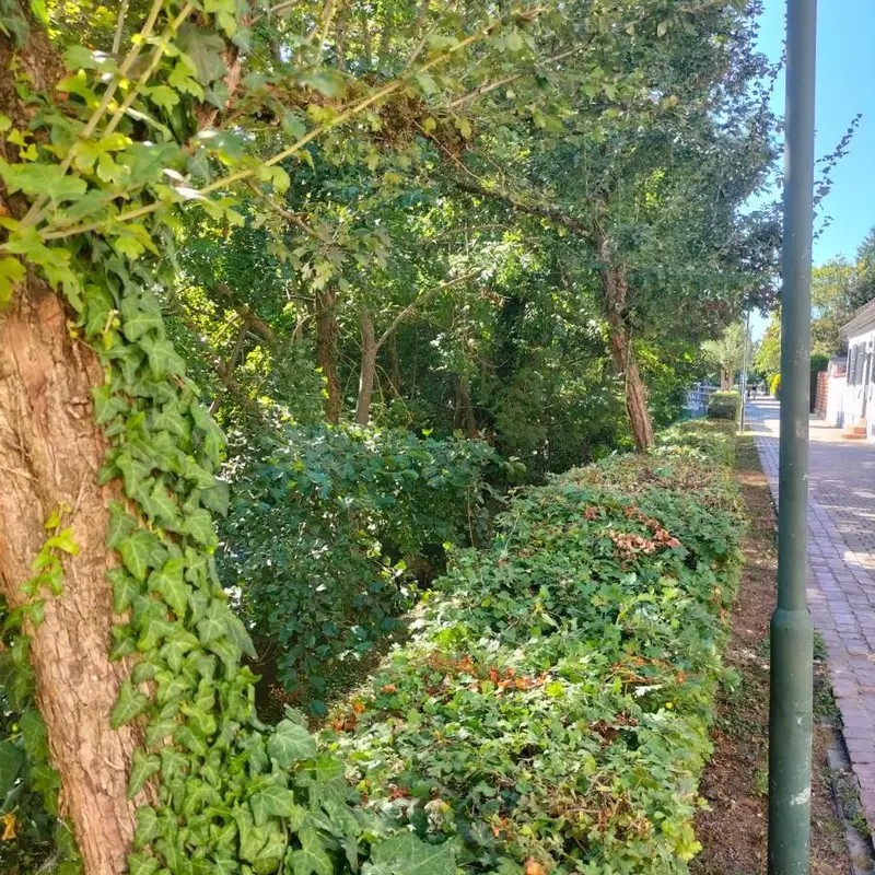 Foto 5