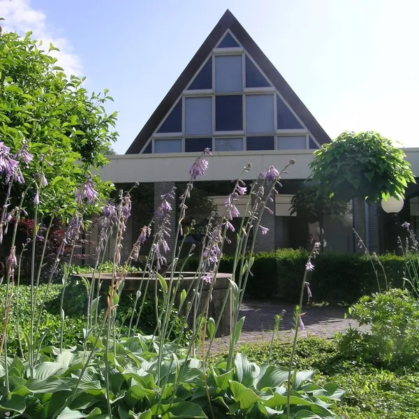 Image 12