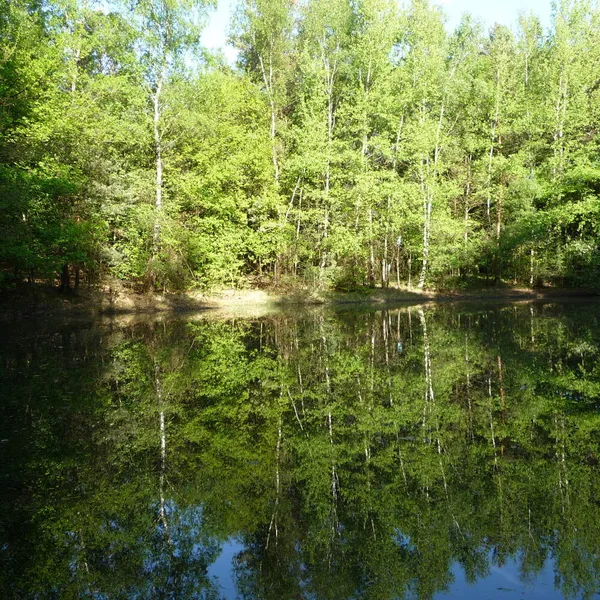 Image 31