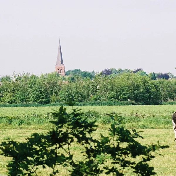 Image 32