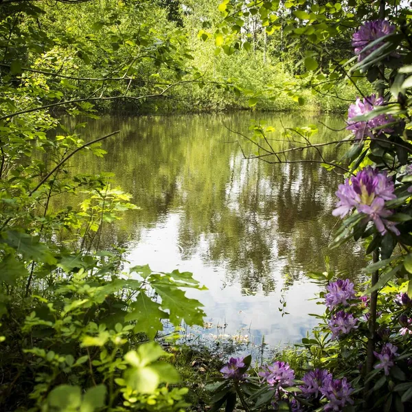 Image 58